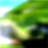 200x200 Clip art Green forest tree 03 443
