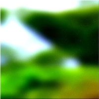 200x200 Clip art Arbre de la forêt verte 03 448
