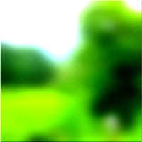 200x200 Clip art Árbol forestal verde 03 45