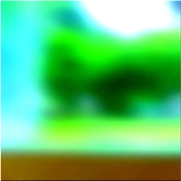 200x200 Картинки Зеленое лесное дерево 03 72
