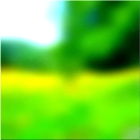 200x200 Clip art Green forest tree 03 88