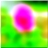 48x48 Икона цветок 100
