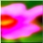 48x48 Icon Flower 160