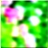 48x48 Icon Flower 323