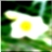 48x48 Icon Flower 382