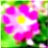48x48 Икона цветок 398