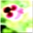 48x48 Икона цветок 426