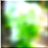 48x48 Икона Зеленое лесное дерево 01 19
