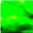48x48 Icon Arbre de la forêt verte 01 430