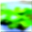 48x48 Икона Зеленое лесное дерево 02 117