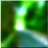 48x48 Icon Green forest tree 02 140