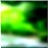 48x48 Икона Зеленое лесное дерево 02 164