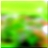 48x48 Icon Green forest tree 02 464