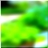 48x48 아이콘 녹색 숲 tree 02 62