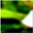 48x48 Икона Зеленое лесное дерево 03 16