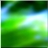 48x48 Icon Green forest tree 03 31
