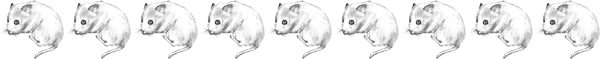 Clip art クリップアート Animal 動物 Mouse ねずみ 144