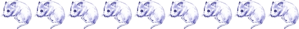 Clip art クリップアート Animal 動物 Mouse ねずみ 145