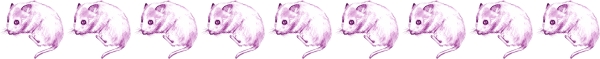Clip art クリップアート Animal 動物 Mouse ねずみ 146