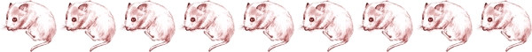 Clip art クリップアート Animal 動物 Mouse ねずみ 147
