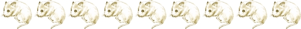 Clip art クリップアート Animal 動物 Mouse ねずみ 149