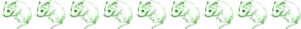 Clip art クリップアート Animal 動物 Mouse ねずみ 150