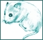 Clip art クリップアート Animal 動物 Mouse ねずみ 65