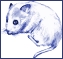 Clip art クリップアート Animal 動物 Mouse ねずみ 69