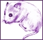 Clip art クリップアート Animal 動物 Mouse ねずみ 70