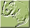 Clip art クリップアート Animal 動物 Mouse ねずみ 75