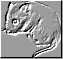 Clip art クリップアート Animal 動物 Mouse ねずみ 77