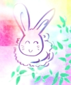 Clip art クリップアート Animal 動物 Rabbit うさぎ 21