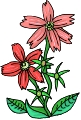 Everyday 日常 Flower 花･植物 Clip art クリップアート 13