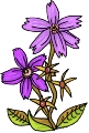 Täglich Blume ClipArt 15