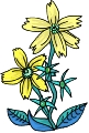 Everyday 日常 Flower 花･植物 Clip art クリップアート 16