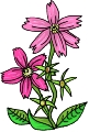 Everyday 日常 Flower 花･植物 Clip art クリップアート 17