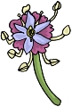 Everyday 日常 Flower 花･植物 Clip art クリップアート 2