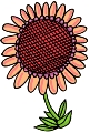 Everyday 日常 Flower 花･植物 Clip art クリップアート 24