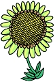 Everyday 日常 Flower 花･植物 Clip art クリップアート 25