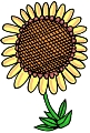 Everyday 日常 Flower 花･植物 Clip art クリップアート 26