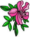 Everyday 日常 Flower 花･植物 Clip art クリップアート 28