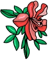 Everyday 日常 Flower 花･植物 Clip art クリップアート 29