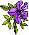Everyday Flower Clip art 31
