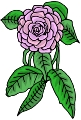 Everyday 日常 Flower 花･植物 Clip art クリップアート 40
