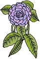 Everyday 日常 Flower 花･植物 Clip art クリップアート 43