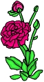 Everyday 日常 Flower 花･植物 Clip art クリップアート 47