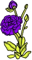 Everyday 日常 Flower 花･植物 Clip art クリップアート 51