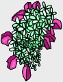 Everyday Flower Clip art 53