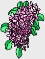 Everyday 日常 Flower 花･植物 Clip art クリップアート 54