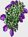 Everyday 日常 Flower 花･植物 Clip art クリップアート 58